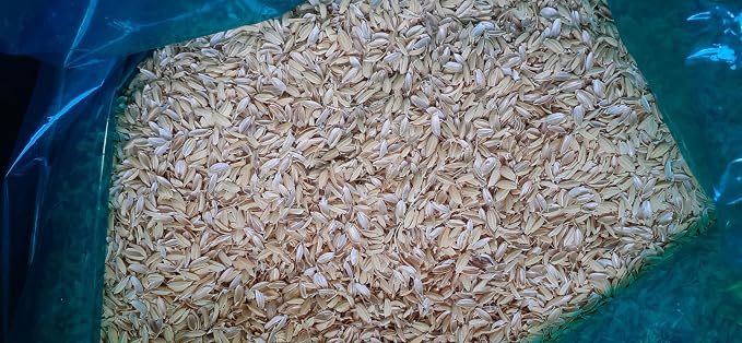 農地や庭の水はけ改善に！自然由来の天然疎水材「暗渠排水用 籾殻（もみがら）」をプロショップで取り扱い開始！