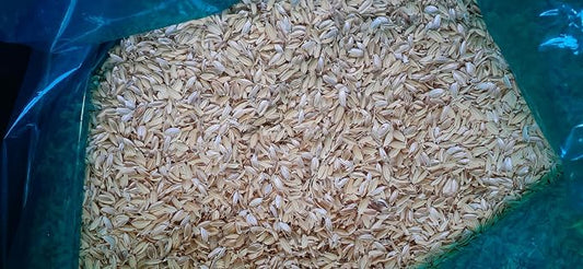 農地や庭の水はけ改善に！自然由来の天然疎水材「暗渠排水用 籾殻（もみがら）」をプロショップで取り扱い開始！