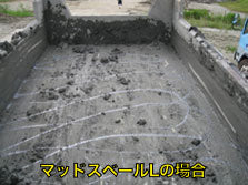 マッドスベール　マッドスベールL　