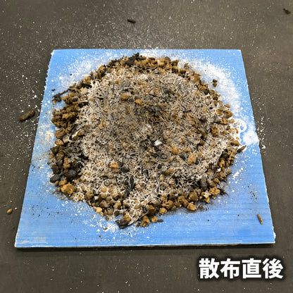 散布直後　ダストクリア
